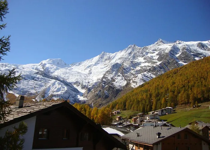 Delphin * Saas-Fee