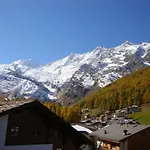 Delphin * Saas-Fee