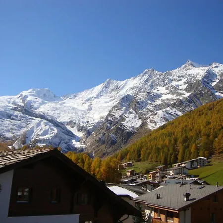 Delphin * Saas Fee