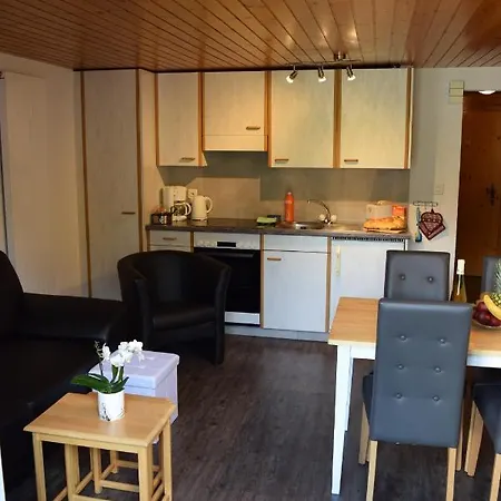 Appartement Delphin Saas Fee